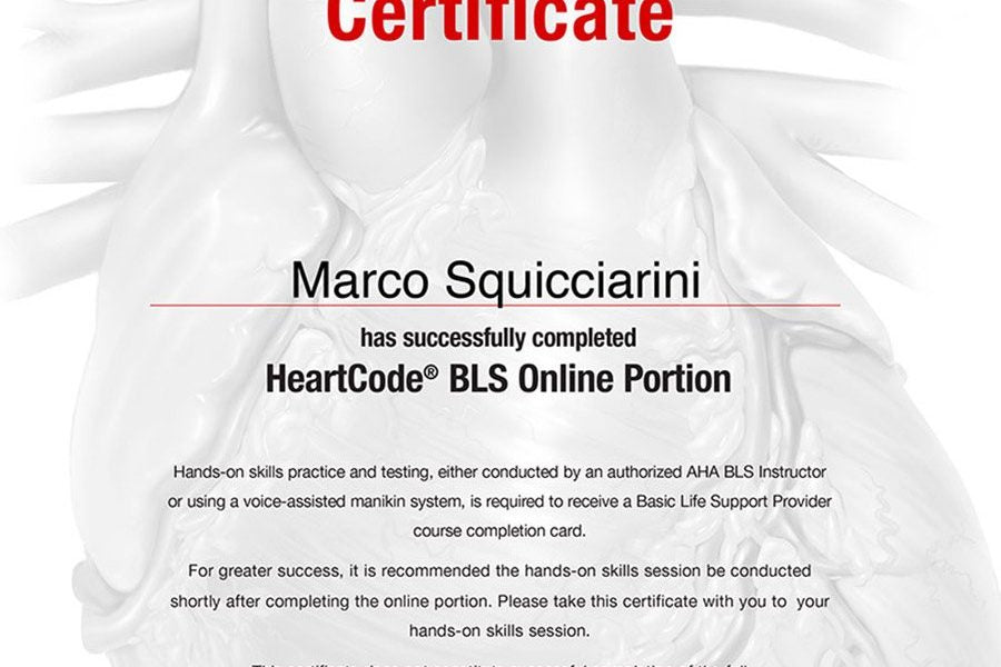 BLS HEARTCODE COURSE $40 (NOT THE BLS COURSE ONLY CERTIFICATE- PART ONE)