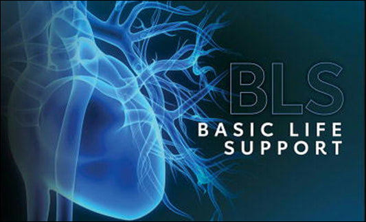 AHA BLS PROVIDER $90  INCLUDES BOTH PARTS! (Copy)