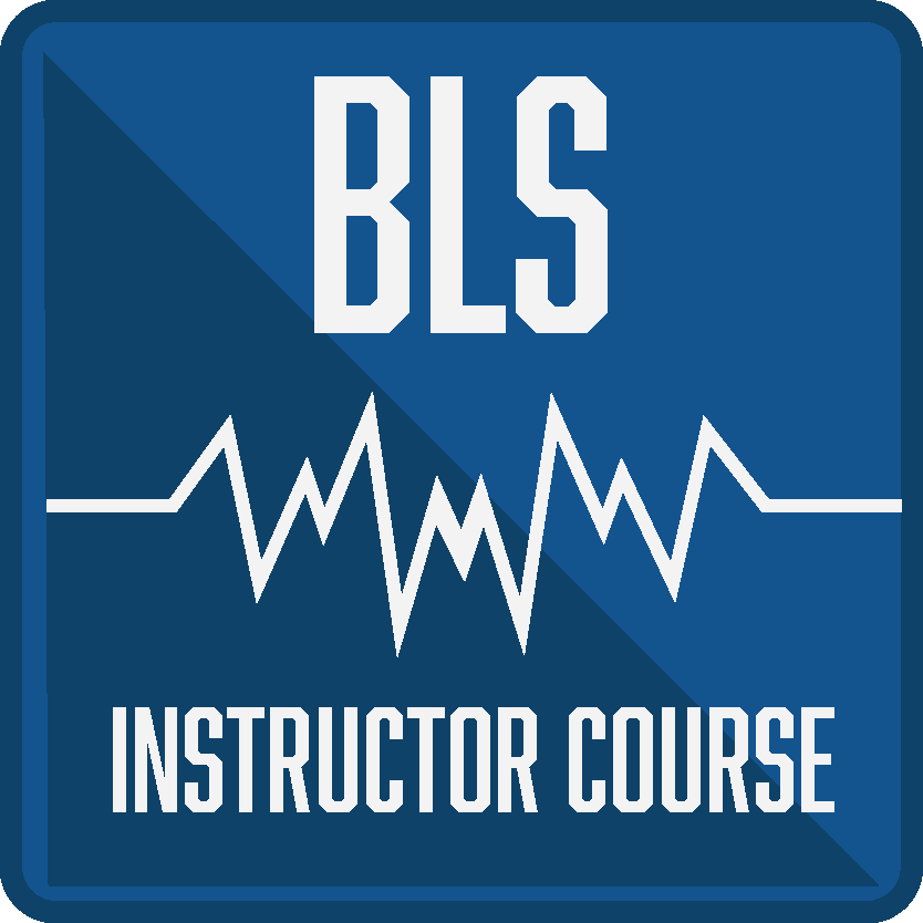 AHA BLS INSTRUCTOR COURSE $325