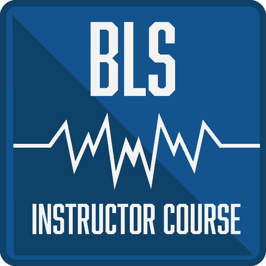 AHA BLS INSTRUCTOR COURSE $325