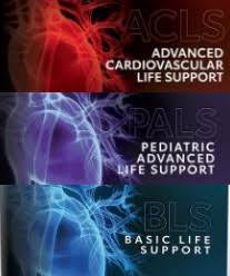 COMPLETE BLS,COMPLETE ACLS, COMPLETE PALS COURSES $540.00