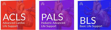 AHA BLS COMPLETE COURSE & ACLS SKILLS & PALS SKILLS SESSION $375 ...