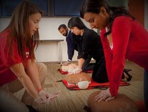 STARTING A CPR BUSINESS WORKSHOP $225